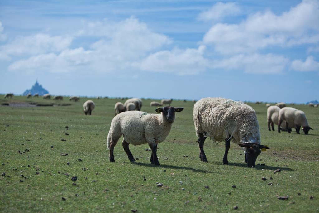 Готель Le Mouton Blanc Mont-Saint-Michel Екстер'єр фото